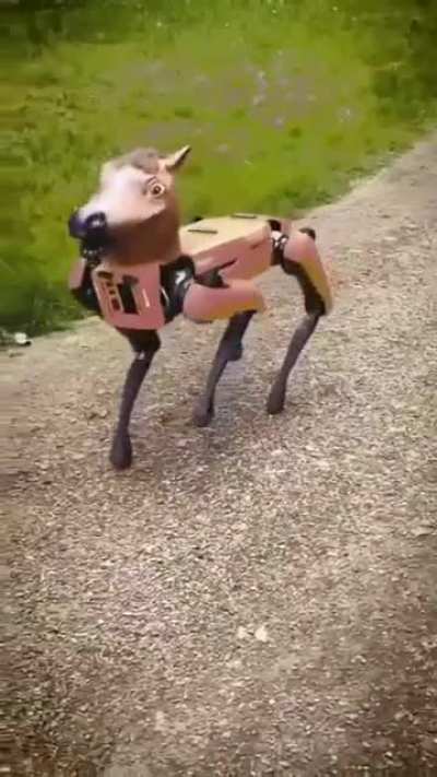 my horse
