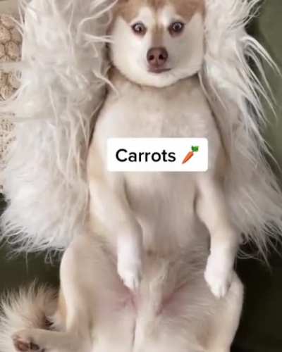 Знакомое слово