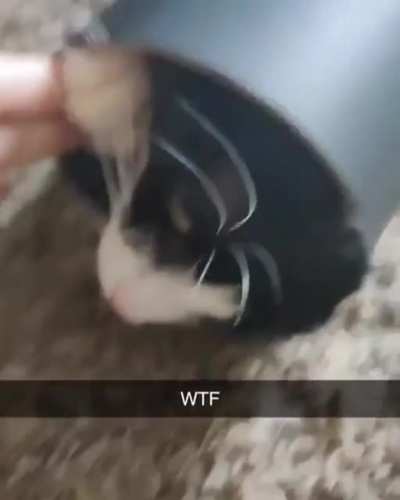 How did that happen