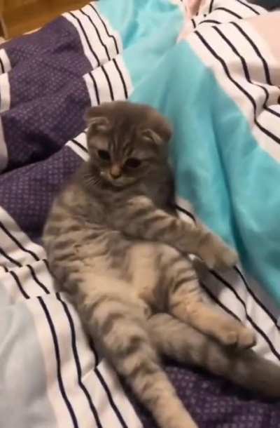 Don&rsquo;t Touch Me...