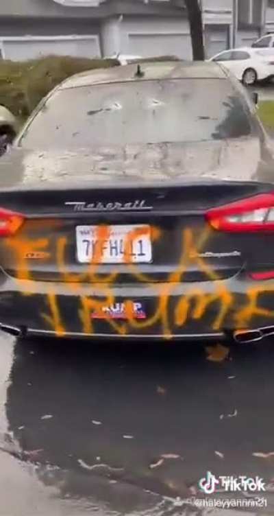 What did he do ?