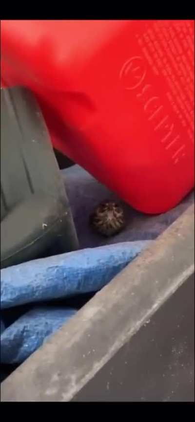 AA-