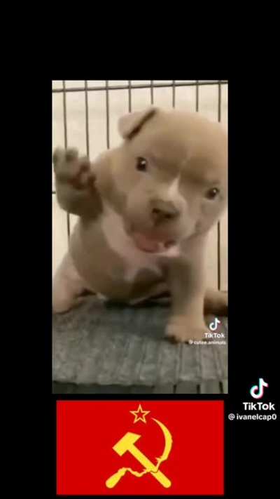 &eth;&nbsp;