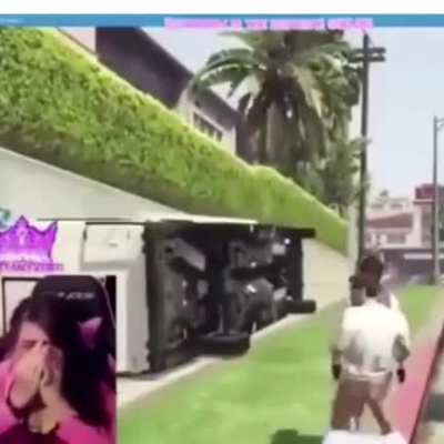 The Gta incident (2013)