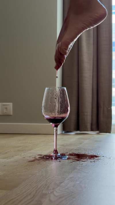 This wine costs more than you’ll ever be worth. And I still poured it on my foot for you to clean up with your tongue