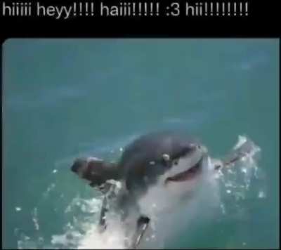 :3