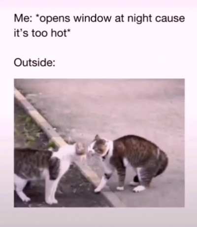Me_irl