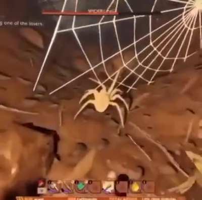 Little spider...