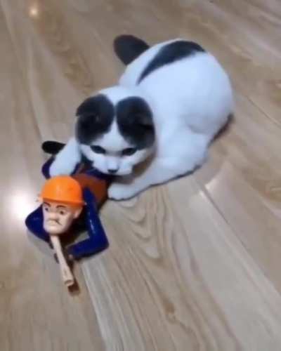 me_irl