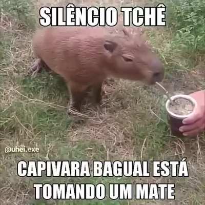 Sil&ecirc;ncio Tch&ecirc; !