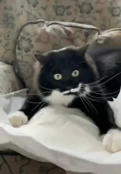 It crinkles!
