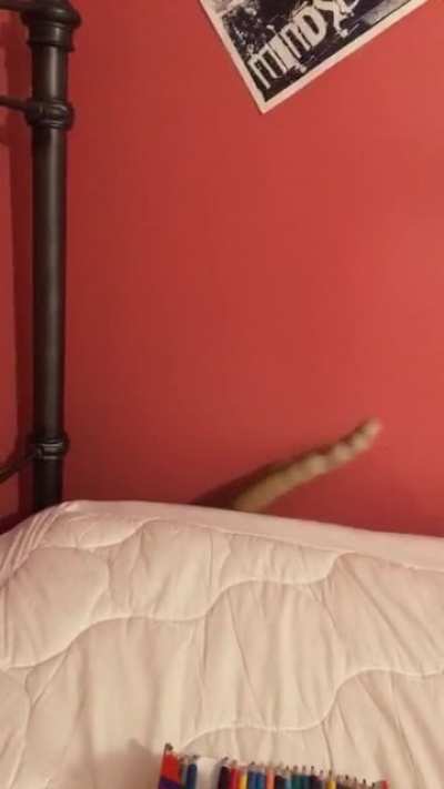 Away he goes