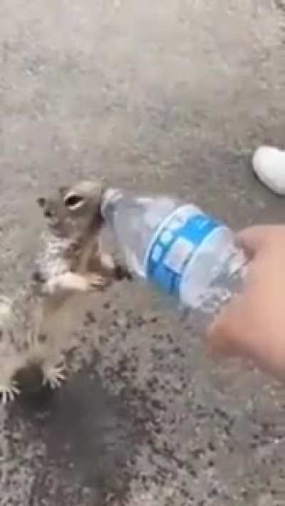 A thirsty fella