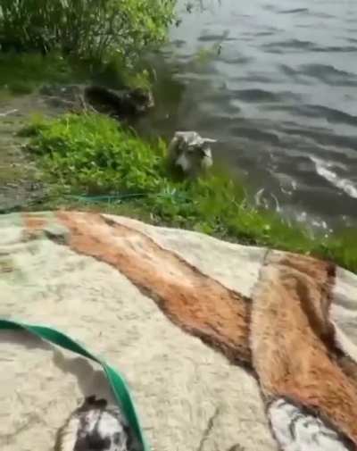 ooops