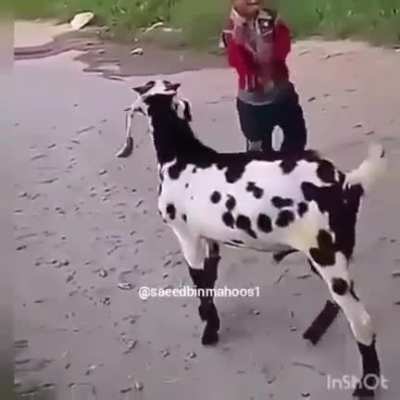 Ответочка.