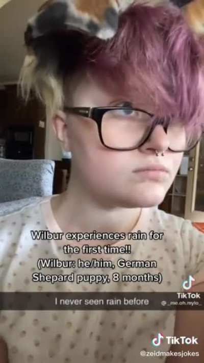I don't know if this was posted before.