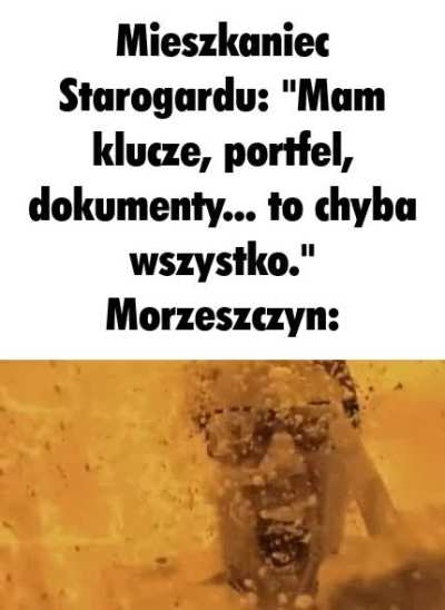 kociewie_wpz