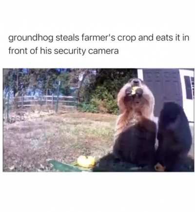 F*ck you farmer
