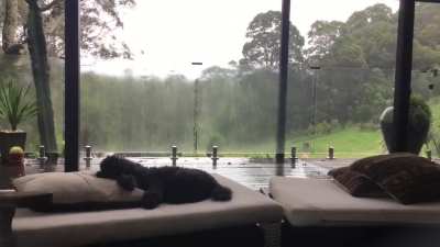 It&rsquo;s been raining here in the Northern Rivers for almost three months straight. We&rsquo;re all kinda used to it now