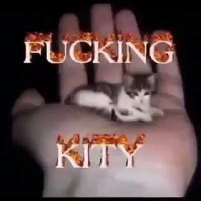 Hand