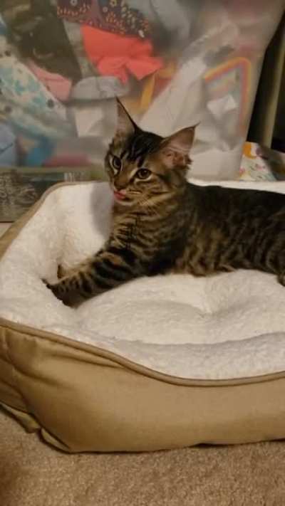 Derp.