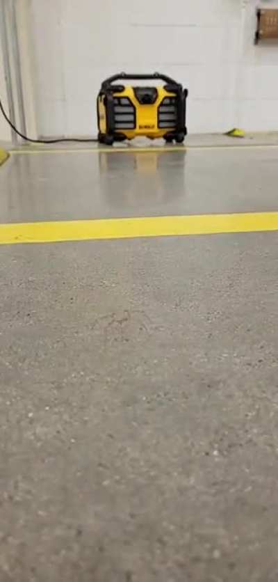 Spider gettin' down with it