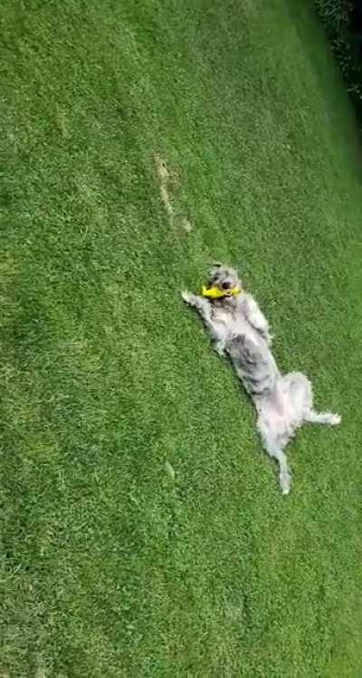 AhhhHHHHH