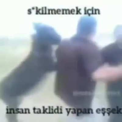 Hewallerle takılmacalar
