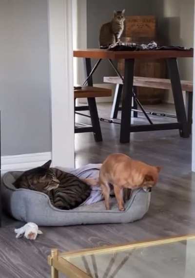 Excuse me I&rsquo;m just going to sit&hellip;oh sorry&hellip;right here
