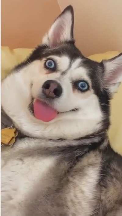 He&rsquo;s just installing an update