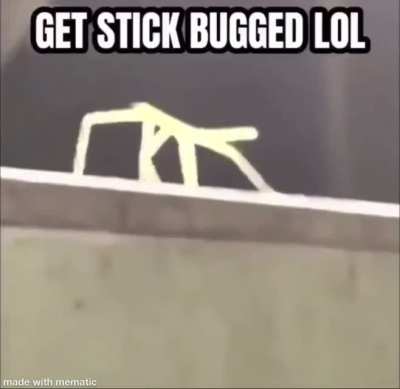 Nothing to see here 😂😂😂