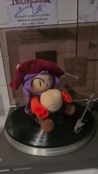 Niko spin
