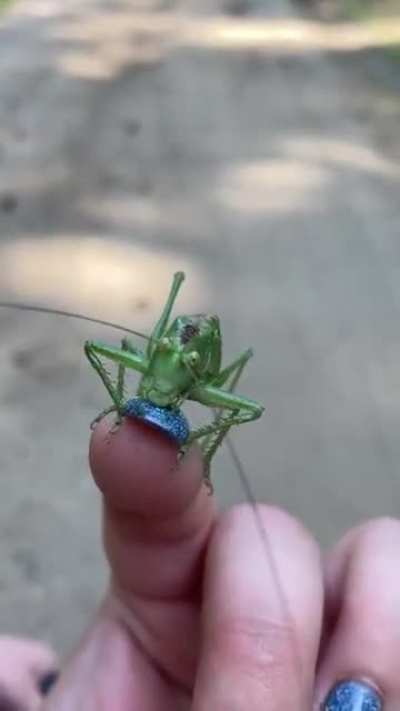 Жизненный урок от Кузи, 3...2...1