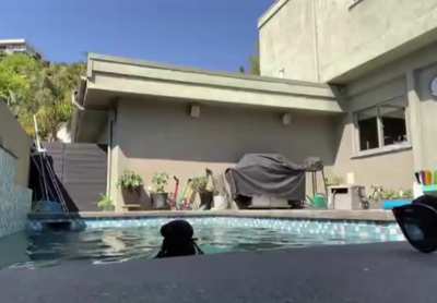 From her pool stream