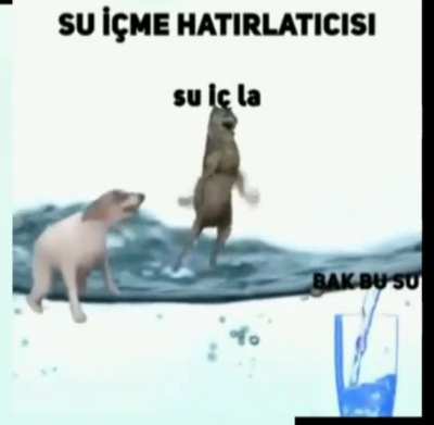 Neden su i&ccedil;miyorsun