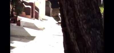 Didn&rsquo;t know he skated. Pewds if fookin gnarly