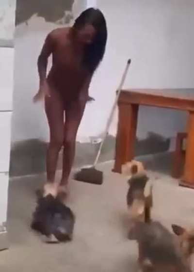 Don&rsquo;t mess up with the dogs
