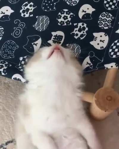 Please, don't disturb
