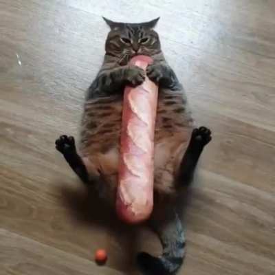 Nice loaf