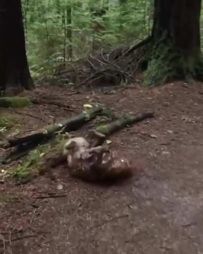 Let&rsquo;s go for a hike! It will be fun, they said