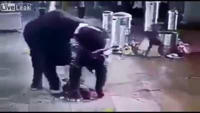 Elephant stomps pesky human. D or V?