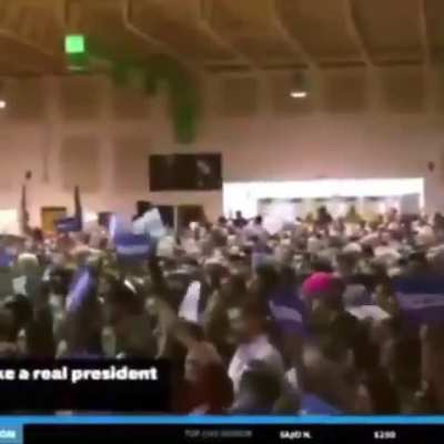 based bernie?