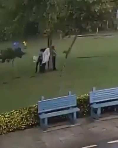 Standing under a tree during a thunderstorm