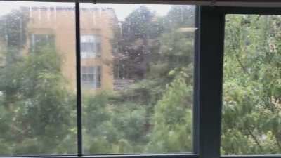 Rain on an unusually green day
