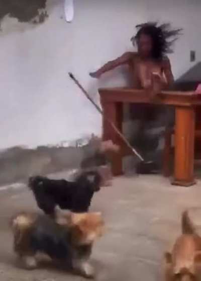 🐶