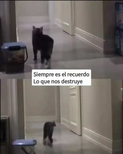 Hasta una patada en las bolas duele menos