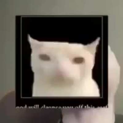 FUCK obama omg my dad is here and he hits my mom help