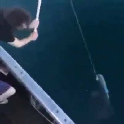 I bet this is how you fish in russia