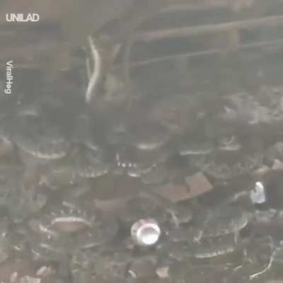No hope with all that Nope Rope