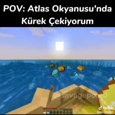 nolmuşkine